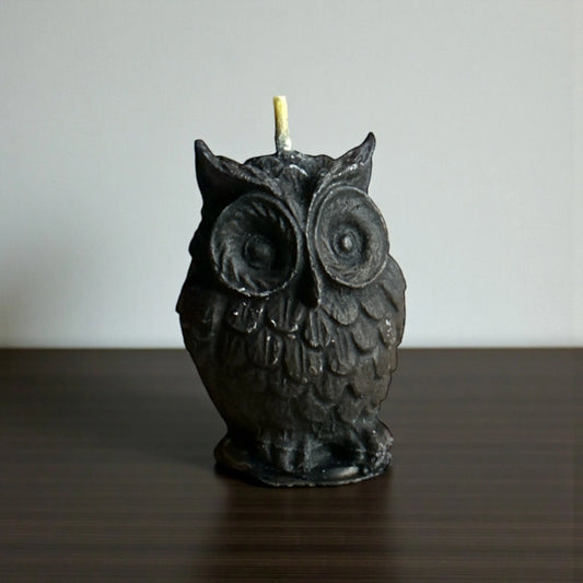 Black Owl Candle - Soulara Life