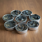 Energized Black Tea Light Candles (Set of 11)